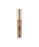 Collection Cosmetics Lasting Perfection Concealer in Chestnut - 16-Hour Wear - Buy Online on GoSupps.com