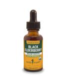 Herb Pharm Certified Organic Black Elderberry Liquid Extract - Immune System Support - 1 oz Glycerite (Alcohol-Free) - Pack of 1 - Buy Online on GoSupps.com