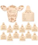 Huray Rayho Cow Baby Monthly Milestone Cards Rustic Wooden Herd Cattle Newborn Photography Props to Record Your Babys Growth, Gift Set of 14 Reversible Cards for Pregnancy and Baby Shower - Buy Online on GoSupps.com
