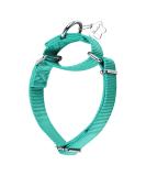 Adjustable No Escape Martingale Dog Collars - Durable Nylon for Large Medium & Small Dogs - Teal Blue (M: 36cm-53cm) - Buy Online on GoSupps.com