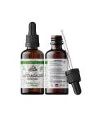 Astragalus Tincture Organic Astragalus Extract (Astragalus membranaceus) Herbal Supplement Non-GMO in Cold-Pressed Organic Vegetable Glycerin 700 mg 2 oz (60 ml) 2 Fl Oz (Pack of 1) - Buy Online on GoSupps.com