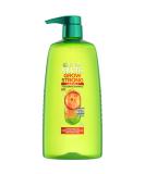 Garnier Fructis Grow Strong Thickening Shampoo for Fine Hair Biotin-C 33.8 Fl Oz 1 Count (Packaging May Vary) - Buy Online on GoSupps.com