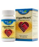VigorHeart Natural Heart Supplement Pills with CoQ10 Salvia Miltiorrhiza & Panax Pseudoginseng - 30 Capsules for Optimal Heart Health - Buy Online on GoSupps.com