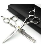 Professional 6-Inch Hair Stylist Scissors Set | JAPAN 440C Steel Hairdressing Tools + Thinning Shears | Ideal for Hairdressers & Barbers - Buy Online on GoSupps.com