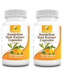 Dandelion Root Extract Capsules 500mg - 120 Capsules | Natural Liver Detox & Digestive Support - Buy Online on GoSupps.com