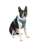 Kurgo Journey Air Dog Harness - Padded Chest & Back Handle for Dogs 2-5 kg XS Size - Blue/Gray - Buy Online on GoSupps.com