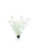 biOrb Sea Fan Medium White - Buy Online on GoSupps.com