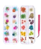 UNIME 24 Colors Nail Art Dried Flowers - Mini Real Natural 3D Applique Sticker for Manicure Decoration - Gypsophila Flowers Leaves - 2 Boxes - Buy Online on GoSupps.com