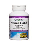 Natural Factors Stress Relax Pharma GABA 100 mg 60 Vegetarian Capsules - Buy Online on GoSupps.com