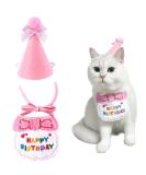 Cat Birthday Outfit Set: Pink Scarf Party Hat & Bibs - Perfect Pet Birthday Decorations - Buy Online on GoSupps.com