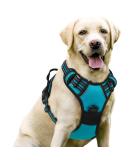 Rabbitgoo Medium Dog Harness - No Pull Adjustable Breathable with Reflex Stripes - Safe Control for Large Dogs - Blue Green (1 Pack) - Buy Online on GoSupps.com