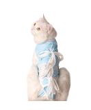 Adjustable Cat Protection Suit | Professional Recovery Suit for Abdominal Wounds & Skin Diseases | Post-Op Castration Pet Suit (M) - Blue - Buy Online on GoSupps.com