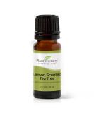Buy Plant Therapy Lemon Scented Tea Tree Essential Oil 10 mL 100% Pure Natural Aromatherapy for Uplifting Refreshing & Deodorizing Aroma International Shipping Available - Buy Online on GoSupps.com