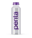 Penta Ultra-Purified Water | Oxygen Infused pH Hydration | Solar-Powered Purification | 16.9 Fl Oz Pack of 24 - Buy Online on GoSupps.com