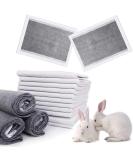 kathson Rabbit Pee Pads 50PCS - Disposable Cage Liners with Black Carbon Odor Control for Small Animals - Quick-Dry Surface for Bunny, Guinea Pig, Kitten, Hedgehog Training - Buy Online on GoSupps.com