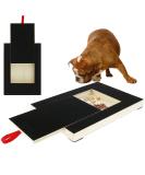 Wooden Dog Nail File Board with Snack Box - Puppy Nail Grinding Pad Alternative to Clippers & Grinders - Buy Online on GoSupps.com