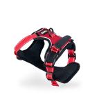 Lionto Dog Harness - Padded Anti-Pull Reflective Safety Harness Adjustable Size L Red - Perfect for Secure and Comfortable Walks - Buy Online on GoSupps.com