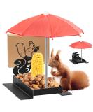 Giyiprpi Squirrel Feeder Metal Squirrel Feeder for Outdoor Use with Umbrella and Corn Stand Outdoor Hanging Squirrel Chipmunk Feeding Station (Black) - Buy Online on GoSupps.com