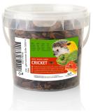 UGF - dried grille 500ml bucket grilling insects bird feed wild birds all year round turtles feed hedgehog feed lizard lining fish feed - Buy Online on GoSupps.com