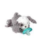 RaZbaby RaZbuddy JollyPop Pacifier Holder with Removable Baby Pacifier, Puppy - Buy Online on GoSupps.com