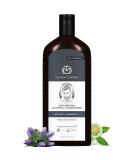Buy The Man Company Anti-Graying 2-in-1 Shampoo & Conditioner for Men | SLS & Paraben Free Enriched with Shikakai & Bhringraj | 200ml - All Hair Types - Buy Online on GoSupps.com