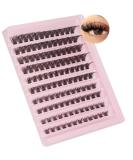 Lash Clusters 120Pcs DIY Individual Eyelash Extensions D Curl 8-16MM - Natural Look, Reusable, Classic Lashes (#01) - Buy Online on GoSupps.com