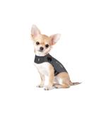 Buy Thundershirt Dog Coat XXS - Grey Melange | Best Comfort & Anxiety Relief for Dogs - International Shipping Available - Buy Online on GoSupps.com