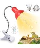 Shengruili Turtle Heat Lamp | 25W & 50W Reptile Lamp for Terrariums - Perfect Heat Solution for Turtles - Buy Online on GoSupps.com