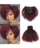 Loxxy Afro Kinkys Curly Hair Extensions Clip In - 10 Inch 4B 4C Natural Hair Clip Ins - Virgin Brazilian Human Hair for Black Women - Red Brown Ombre 1B/99J - Buy Online on GoSupps.com