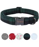 Unique Adjustable Green Checkered Dog Collar & Leash for Small to XL Dogs & Cats - Shop Internationally - Buy Online on GoSupps.com