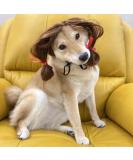 Funny Dog Wig & Cat Role Play Wig - Perfect for Halloween Christmas & Parties - Brown Costumes for Small Medium & Large Pets - Buy Online on GoSupps.com