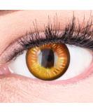 Colored Brown Contact Lenses Anime Brown Circle Lenses Heroes Of Cosplay High Coverage No Prescription with Free Lens Case - Buy Online on GoSupps.com