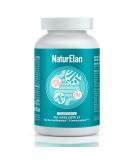 Probiotics intestinal renovation capsules 23 bacterial strains with an active B complex and acacia fiber gastrointestinal resistant vegan produced in Germany 60 capsules naturelan - Buy Online on GoSupps.com