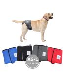 Sailing Trousers for Dogs 2.0 - High-Quality Neoprene Dog Diapers for Males (XS-L Gray) | Optimal Air Exchange & No Threading - Buy Online on GoSupps.com