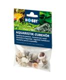Hobby Sea Shells Set S 20 St ck - Buy Online on GoSupps.com