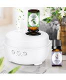 Waterless Aroma Diffuser for Essential Oils - Aromatherapy Diffuser with 2 Essential Oils | Perfect for Car Bedroom & Spa - Buy Online on GoSupps.com