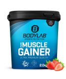 BODYLAB24 Pure Muscle Gainer Strawberry 2000g | 40g Protein 33g Natural Carbs Creatine Enriched | Best Weight Gainer Shake for Mass Growth - Buy Online on GoSupps.com