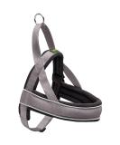 HUNTER RACING Norwegian Harness - ML 60-75 cm Grey/Black | International Shipping Available - Buy Online on GoSupps.com