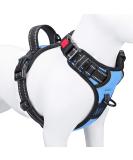 Phoepet Adjustable Dog Harness - No Pull Reflective Vest with Training Handle & ID Card - Size L in Baby Blue - Buy Online on GoSupps.com