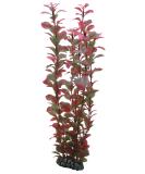 Hobby Ludwigia 34 cm - Vibrant Aquatic Plant for International Shipping | Enhance Your Aquarium - Buy Online on GoSupps.com