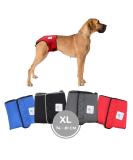 Sailing Trousers for Dogs 2.0 - High-Quality Neoprene Diapers for Male Dogs (XL Red) - Breathable & Comfortable Dog Diapers Without Rod Threading - Buy Online on GoSupps.com