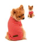 Paidful Summer Striped T-Shirt for Small Dogs - 100% Cotton Sleeveless Chihuahua & Yorkshire Red - Back Length 40cm/15.5 Bust 52cm/20.5 - Ideal for Young Girls - Buy Online on GoSupps.com