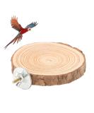 Round Wooden Springboard Parrot Perch Stand Toy - Small Parakeets, Cockatiels, Hamster (6cm) - Buy Online on GoSupps.com