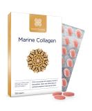 Healthspan Marine Collagen 500mg (120 Tablets) - Type I Marine Collagen with Vitamin C for Skin, Bones & Joints Support - Buy Online on GoSupps.com