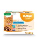 IAMS DELCHTS SEA Collection Cat food wet - multipack with fish varieties (salmon tuna mackerel sea fish) in jelly wet food for cats from 1 year 12 x 85g - Buy Online on GoSupps.com