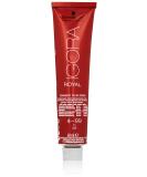 Buy Schwarzkopf IGORA Royal 4-99 60ml | Premium International Shipping | Top Quality Hair Color - Buy Online on GoSupps.com