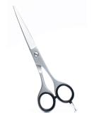 Professional Hairdressing Scissor - Hair Cutting Scissor Barber Shears for Texturizing Premium Quality Stainless Steel Comfortable Ergonomic Handle - Buy Online on GoSupps.com