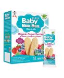 Baby Mum-Mum Organic Super Berries Rusks 1.76 oz - 24 Count, Pack of 6 | Organic Super Berries Snack for Babies - Buy Online on GoSupps.com