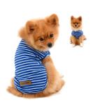 Shop Paidful 100% Cotton Summer Striped T-Shirt for Small Dogs - Blue Welpe Tee for Chihuahua & Yorkshire | Sizes M (Back Length 25cm Bust 37cm) - Buy Online on GoSupps.com