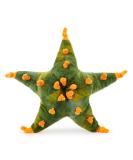 Zappi Co Kids Plush Toy - Safari Animals Collection (Nobbly Sea Star) - 31cm Width - Buy Online on GoSupps.com